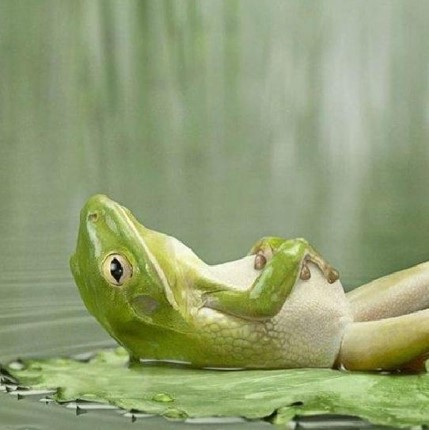 Back Relax Blend