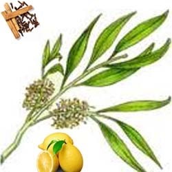 Immune Booster Blend